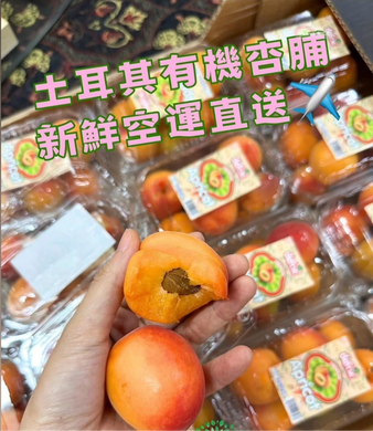 土耳其新鮮有機杏桃 350g/盒 Turkish Fresh Apricot