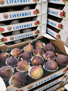 【空運直港】Turkish Fresh Fig 土耳其新鮮有機無花果 16pcs/1.5kg
