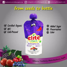 Load image into Gallery viewer, ELITE Organic Pouch Puree Purple (Blueberry, Cranberry, Black Mulberry, Apple) 有機果蓉唧唧裝120g
