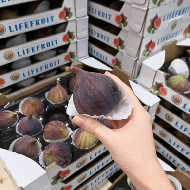 【空運直港】Turkish Fresh Fig 土耳其新鮮有機無花果 16pcs/1.5kg